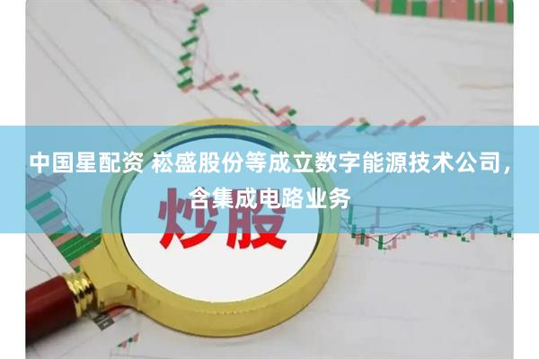 中国星配资 崧盛股份等成立数字能源技术公司，含集成电路业务