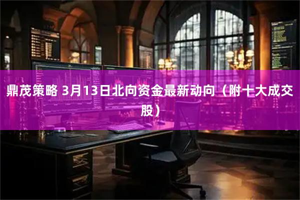 鼎茂策略 3月13日北向资金最新动向（附十大成交股）
