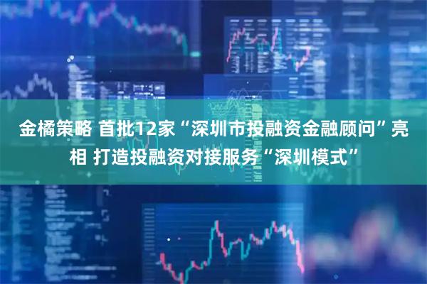 金橘策略 首批12家“深圳市投融资金融顾问”亮相 打造投融资对接服务“深圳模式”