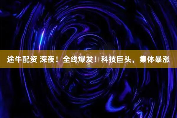 途牛配资 深夜！全线爆发！科技巨头，集体暴涨