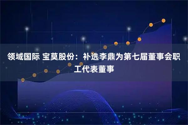 领域国际 宝莫股份：补选李鼎为第七届董事会职工代表董事