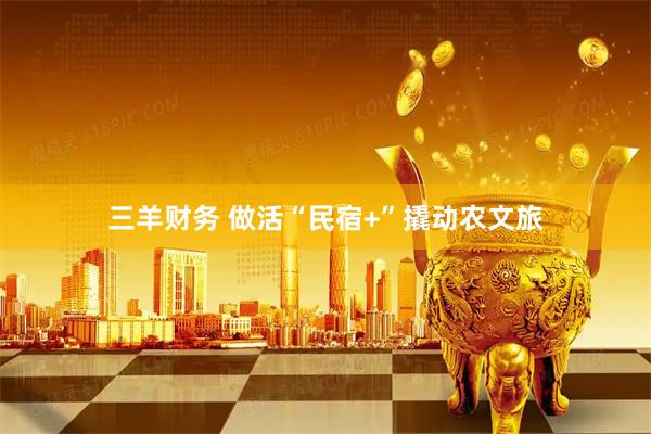 三羊财务 做活“民宿+”撬动农文旅