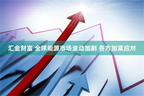 汇金财富 全球能源市场波动加剧 各方加紧应对