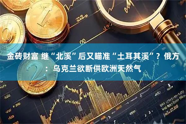 金砖财富 继“北溪”后又瞄准“土耳其溪”？俄方：乌克兰欲断供欧洲天然气